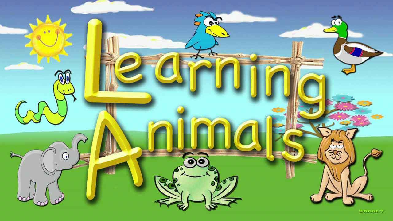 Teaching About Animals for Preschoolers